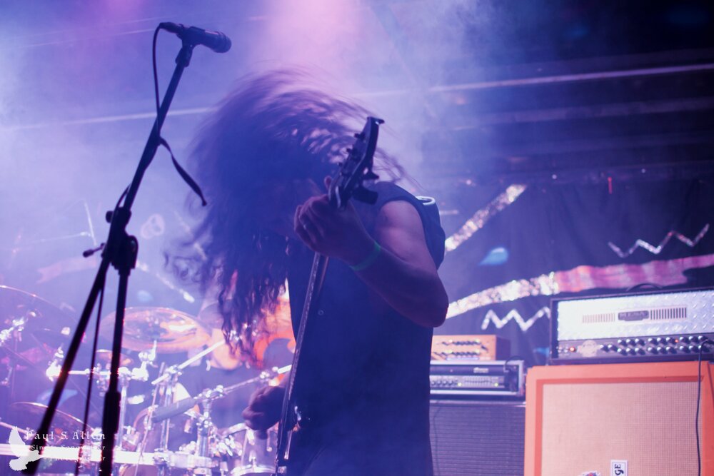Waitati Music Festival by Paul S Allen: Ayamvoid