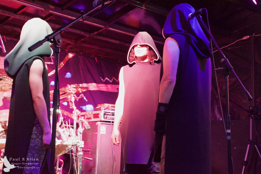 Waitati Music Festival by Paul S Allen: Ayamvoid