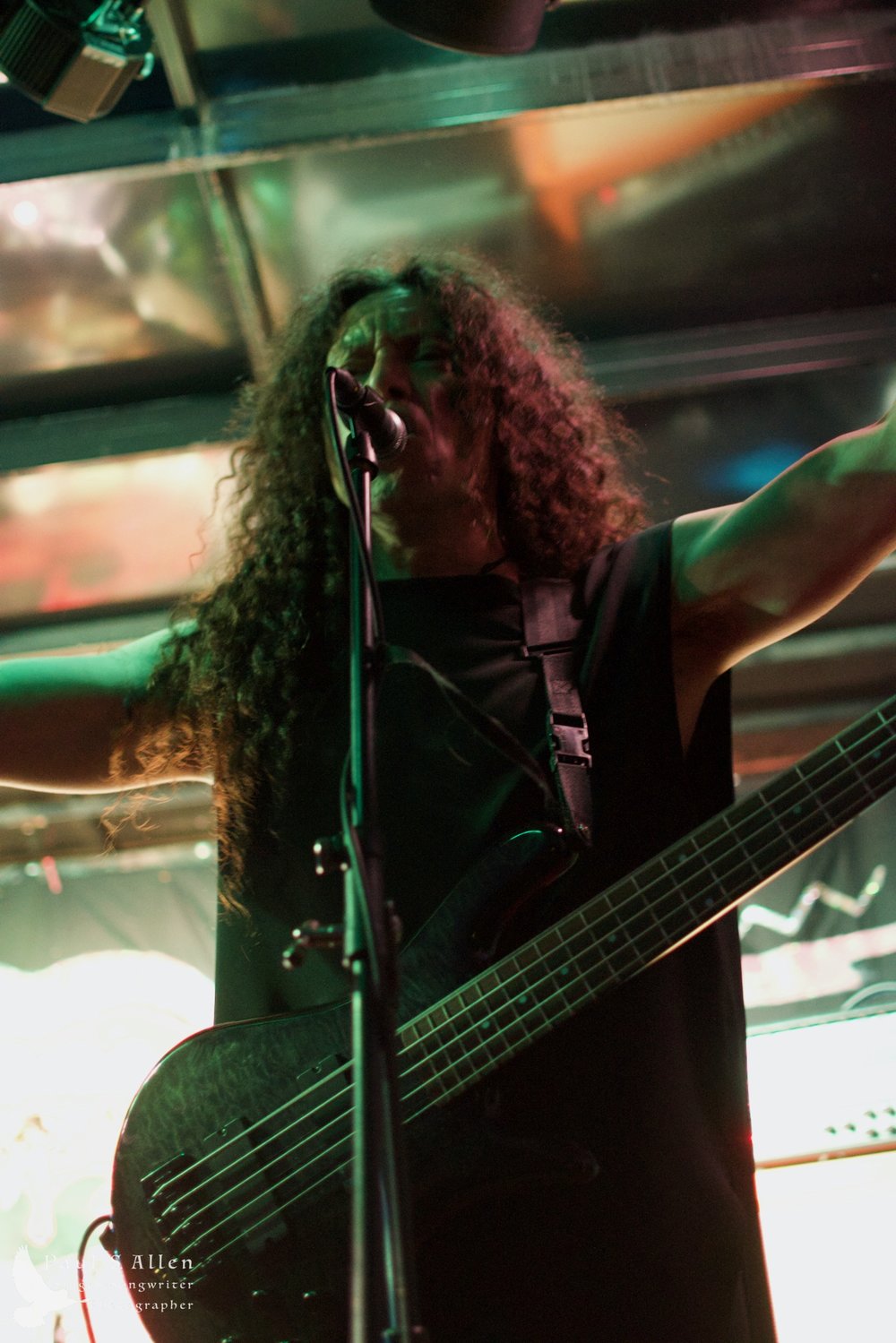 Waitati Music Festival by Paul S Allen: Ayamvoid