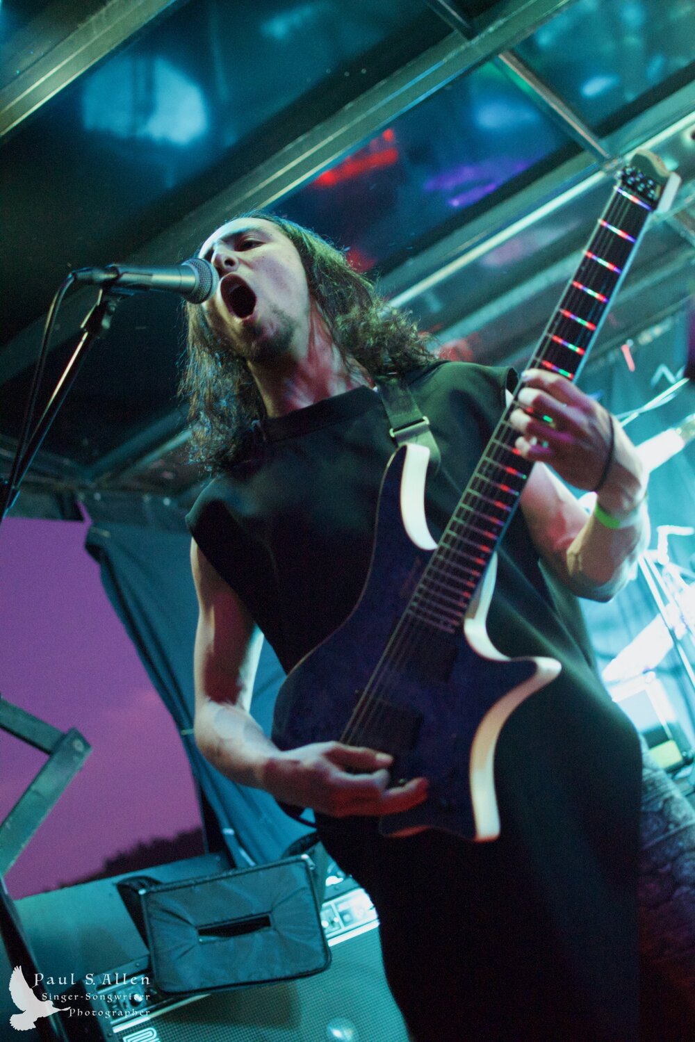 Waitati Music Festival by Paul S Allen: Ayamvoid