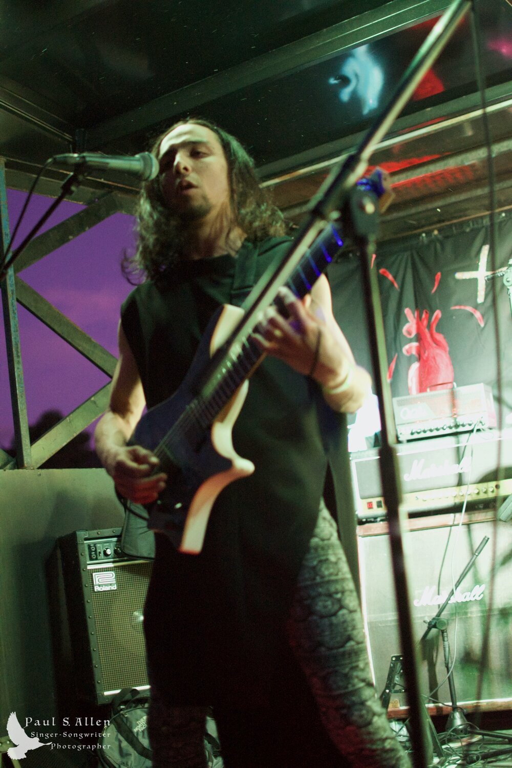 Waitati Music Festival by Paul S Allen: Ayamvoid