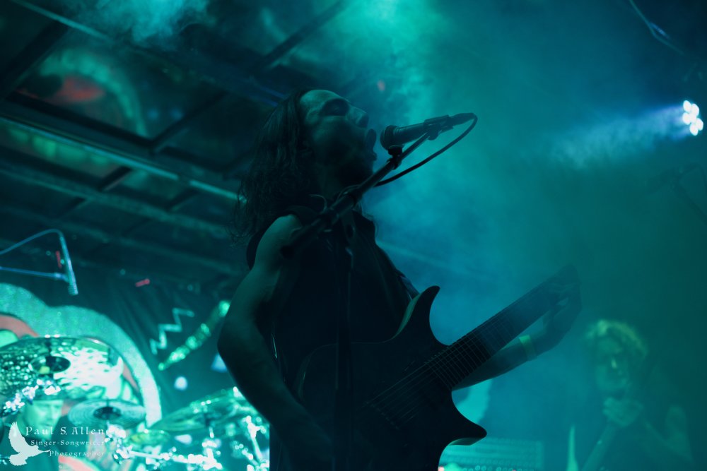 Waitati Music Festival by Paul S Allen: Ayamvoid