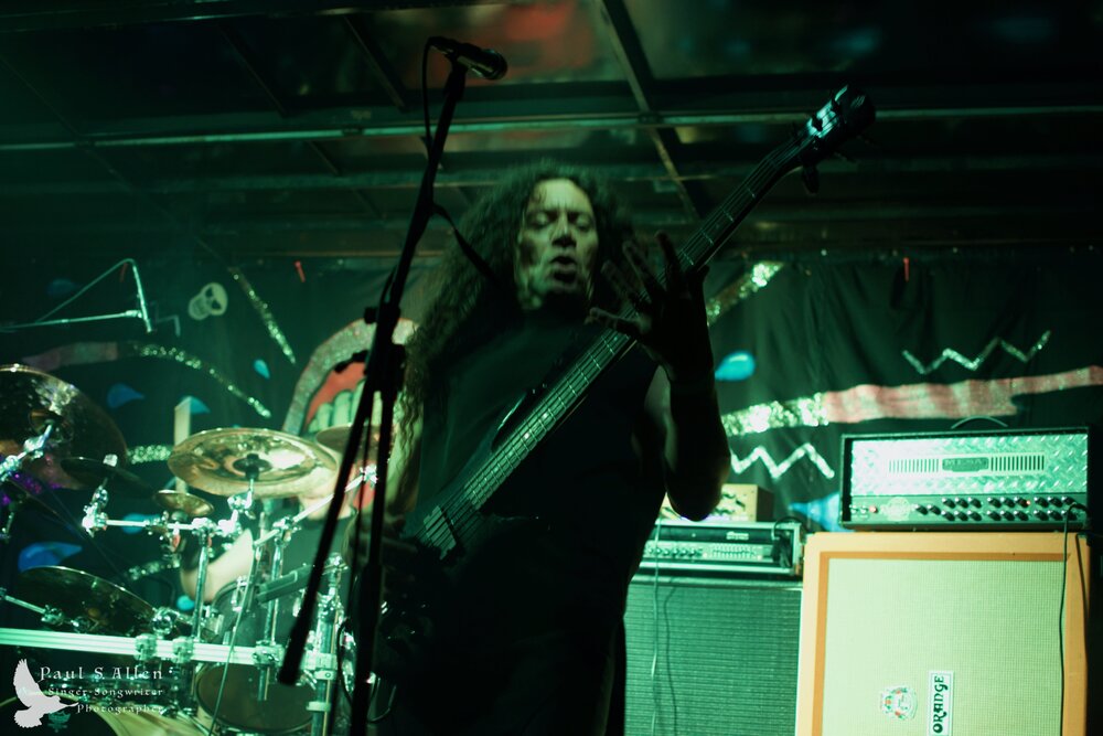 Waitati Music Festival by Paul S Allen: Ayamvoid