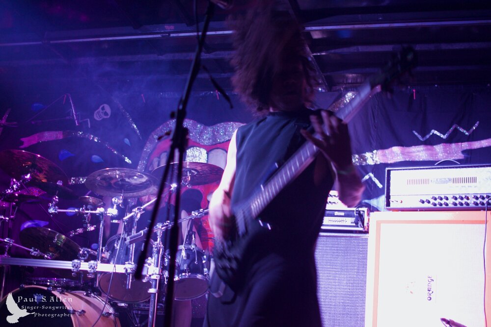 Waitati Music Festival by Paul S Allen: Ayamvoid