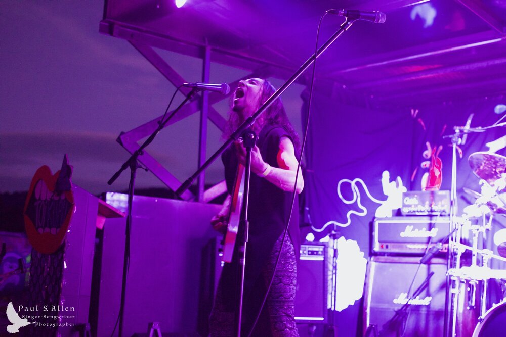 Waitati Music Festival by Paul S Allen: Ayamvoid