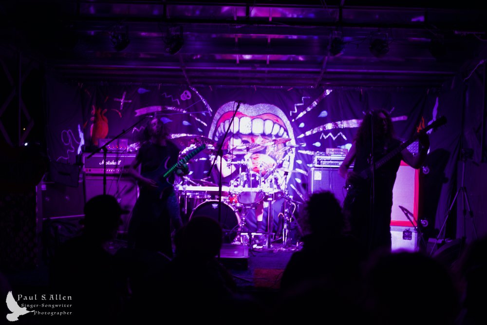 Waitati Music Festival by Paul S Allen: Ayamvoid