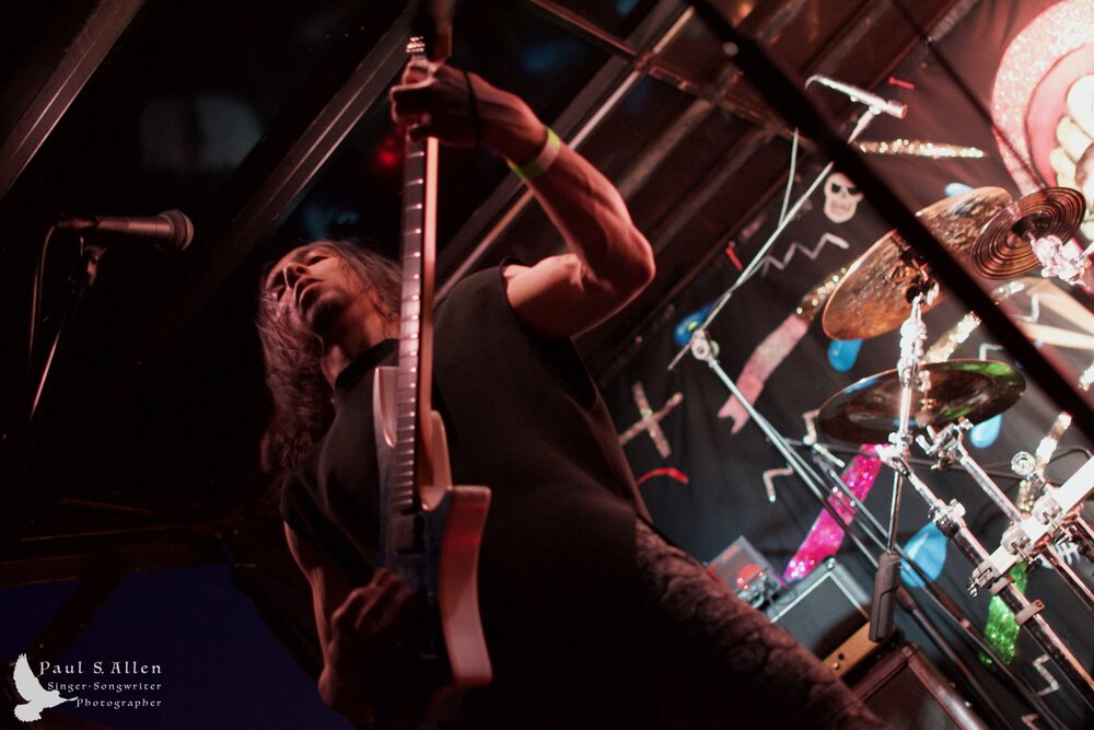 Waitati Music Festival by Paul S Allen: Ayamvoid