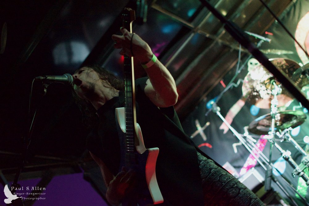 Waitati Music Festival by Paul S Allen: Ayamvoid
