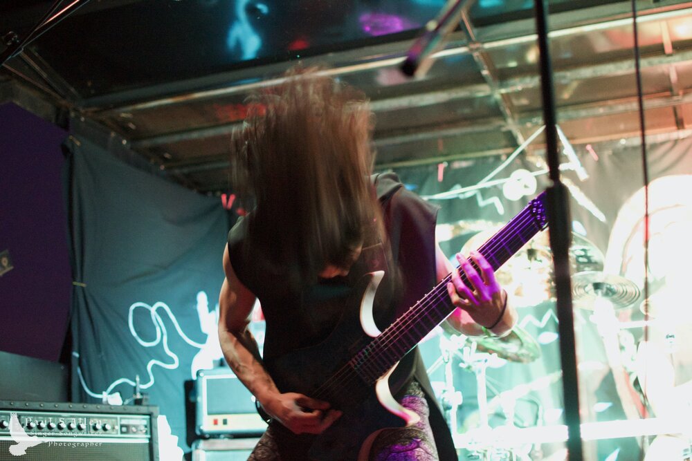 Waitati Music Festival by Paul S Allen: Ayamvoid