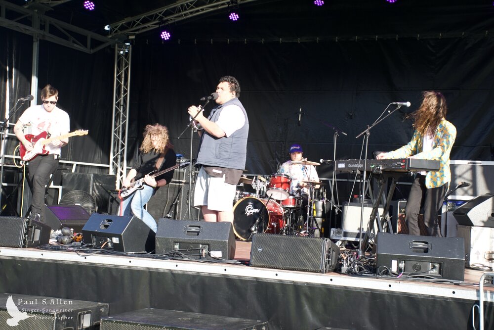 Waitati Music Festival by Paul S Allen: Black-Sale House