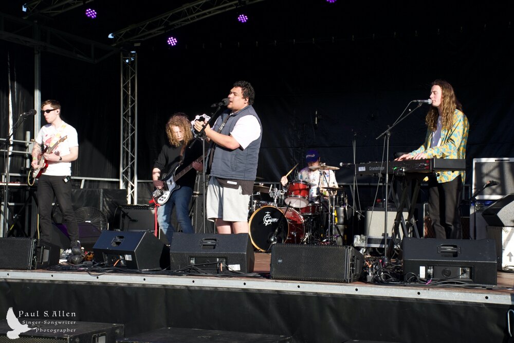 Waitati Music Festival by Paul S Allen: Black-Sale House