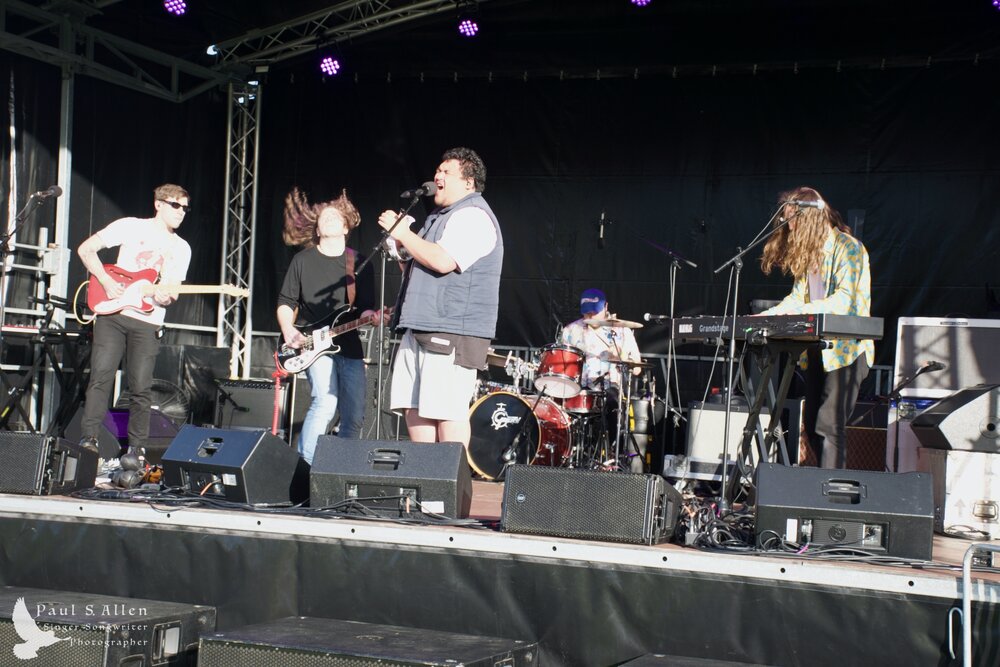 Waitati Music Festival by Paul S Allen: Black-Sale House