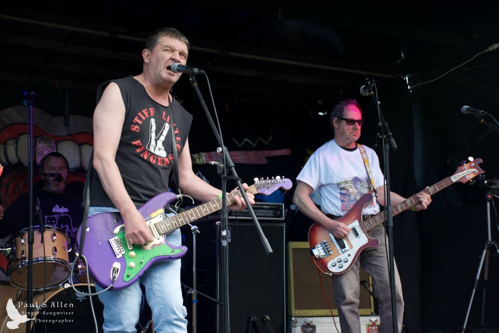 Waitati Music Festival by Paul S Allen: Chemical Damage