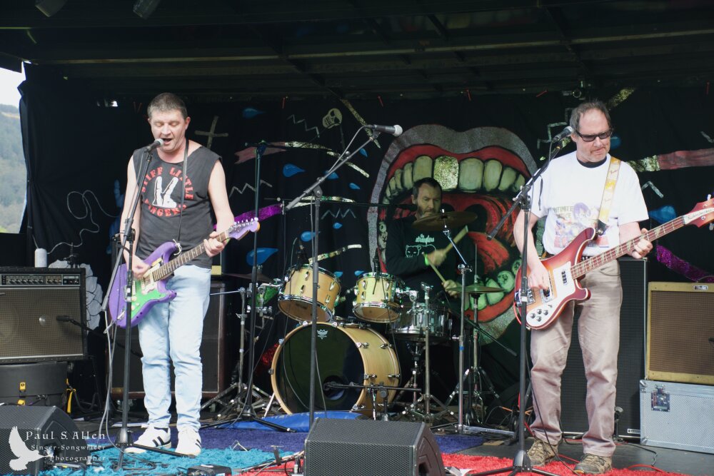 Waitati Music Festival by Paul S Allen: Chemical Damage