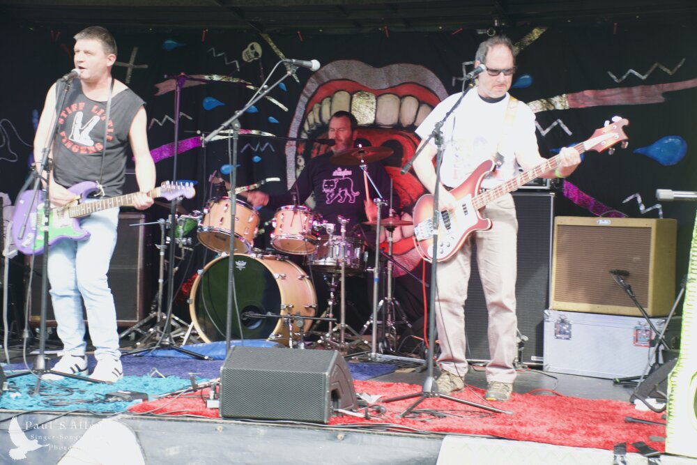 Waitati Music Festival by Paul S Allen: Chemical Damage