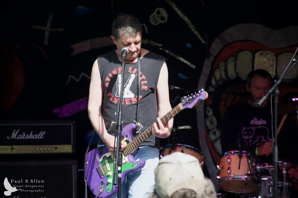 Waitati Music Festival by Paul S Allen: Chemical Damage