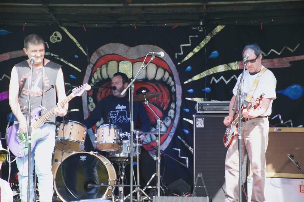 Waitati Music Festival by Paul S Allen: Chemical Damage