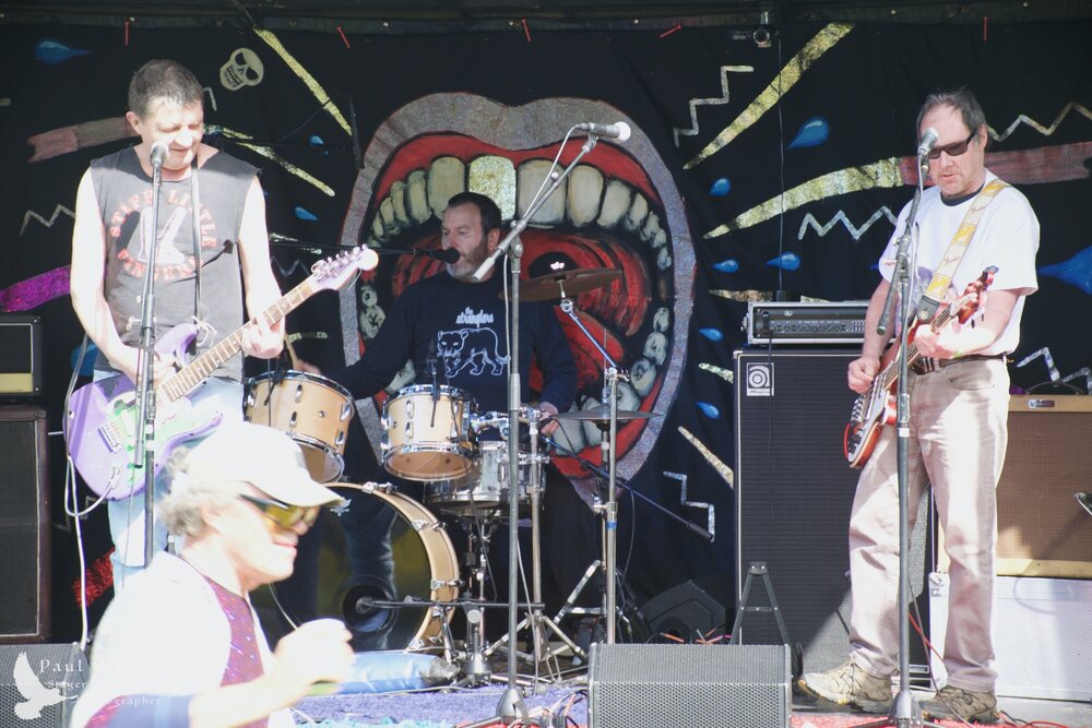 Waitati Music Festival by Paul S Allen: Chemical Damage
