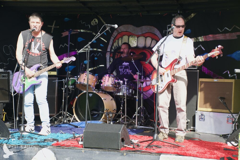 Waitati Music Festival by Paul S Allen: Chemical Damage