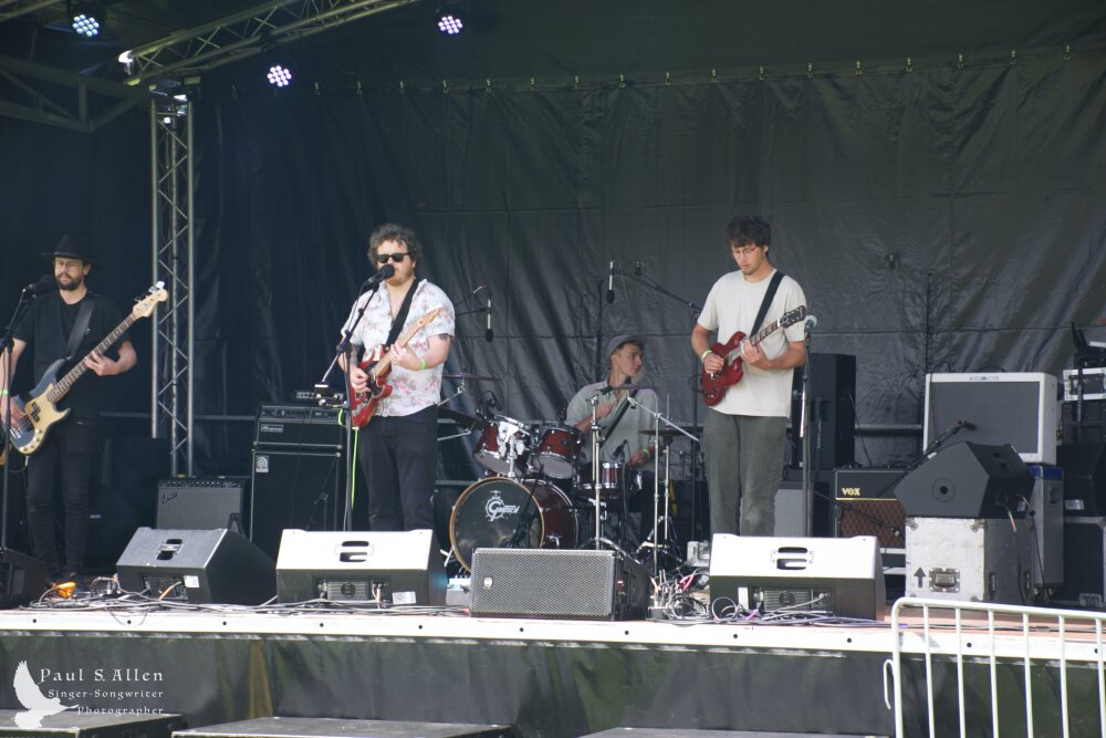 Waitati Music Festival by Paul S Allen: Bo and the Constrictors