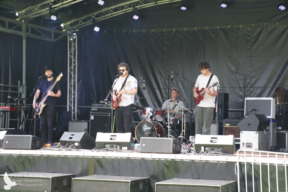 Waitati Music Festival by Paul S Allen: Bo and the Constrictors