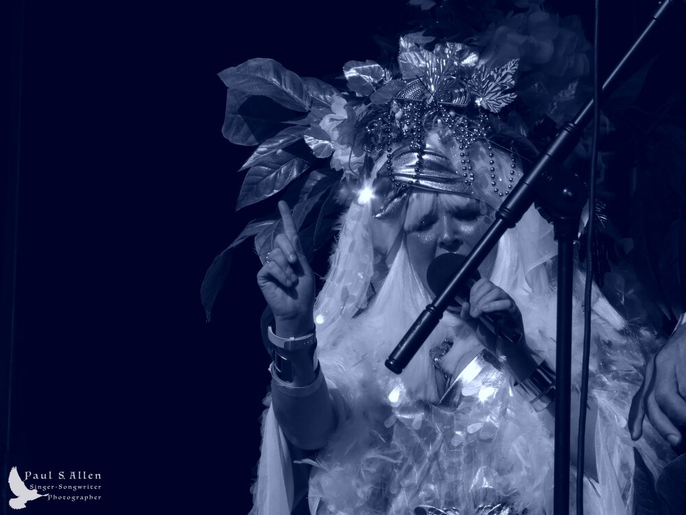 Waitati Music Festival by Paul S Allen: Tahu and the Takahes