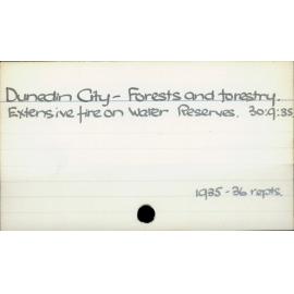 Dunedin City - Forests and forestry