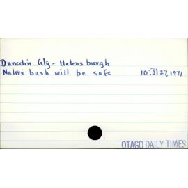 Dunedin City - Helensburgh