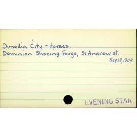 Dunedin City - Horses