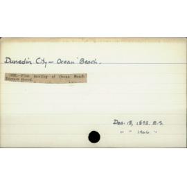 Dunedin City - Ocean Beach