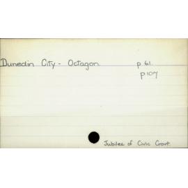 Dunedin City - Octagon