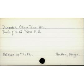 Dunedin City -Pine Hill