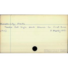 Dunedin City - Plants