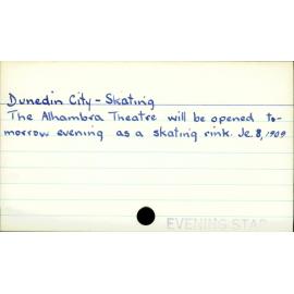 Dunedin City - Skating 