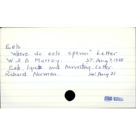 Eels