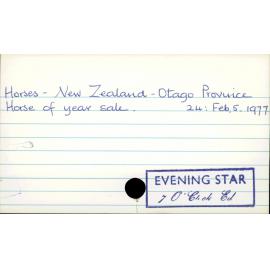 Horses - New Zealand - Otago Province