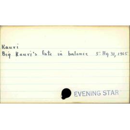 Kauri
