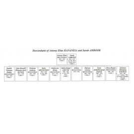 Family Tree for the  Hananeia and Amboor families 