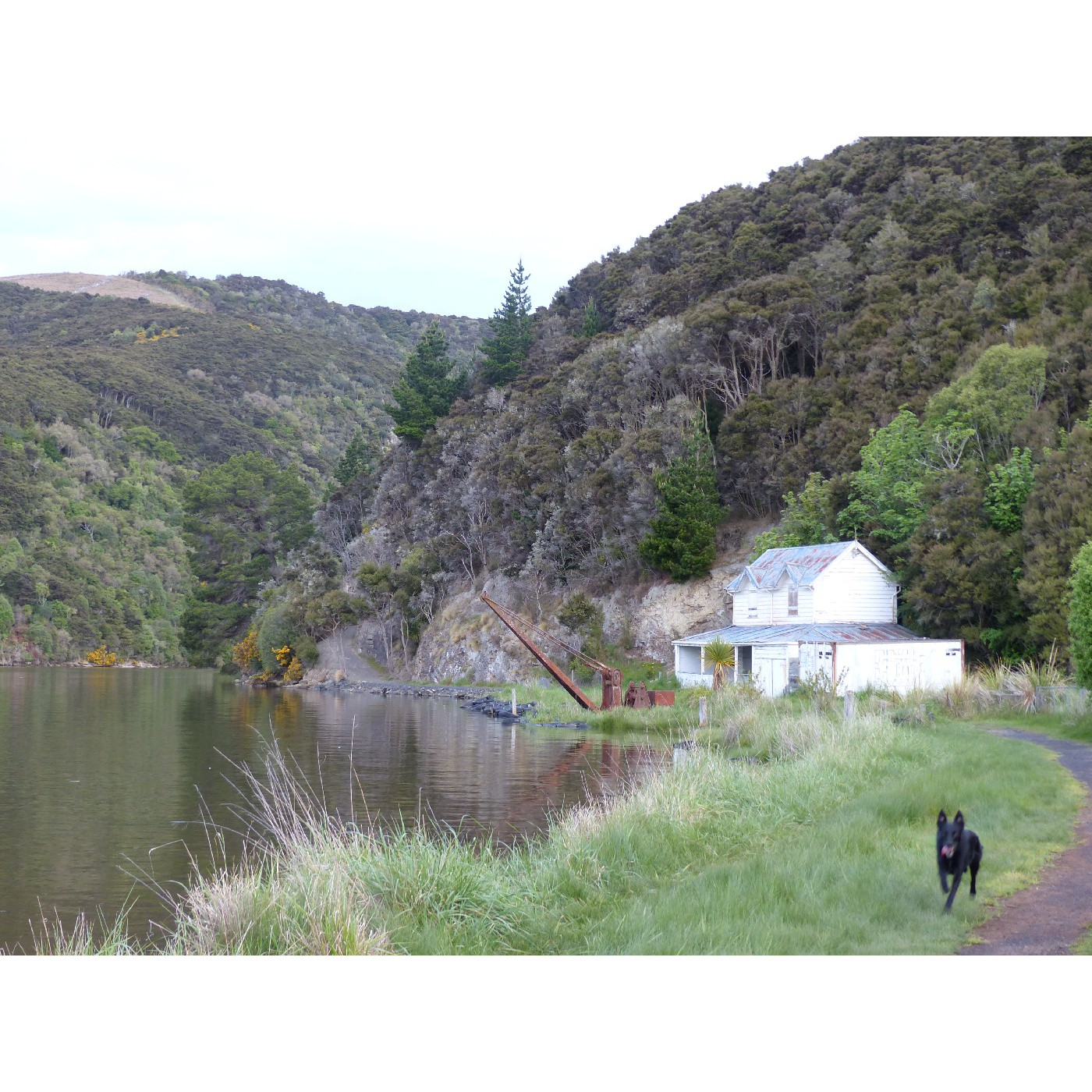Henley, Dunedin 
