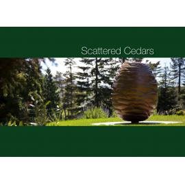 Scattered Cedars
