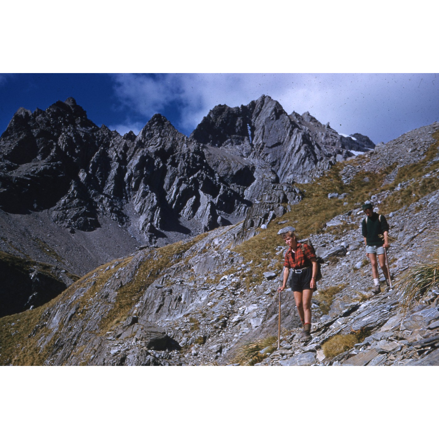 Alpine trip into the Hopkins river area