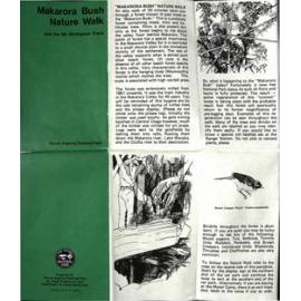 Makarora Bush Nature Walk and the Shrimpton Track