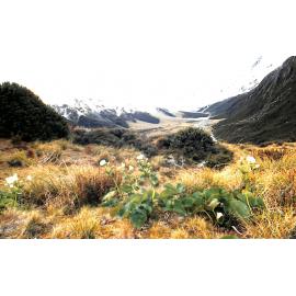 4 Wheel Drive Training December 1991 #1