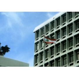 Lebanese Flag in Dunedin