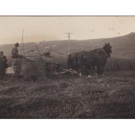 Waipori Falls Harvesting