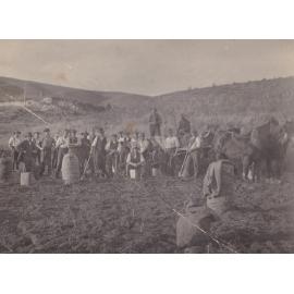 Waipori Falls Harvesting