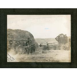 Harvesting scene at D. O'Brien's - pressing straw.  Near Wingatui with Gladstone Road in the background