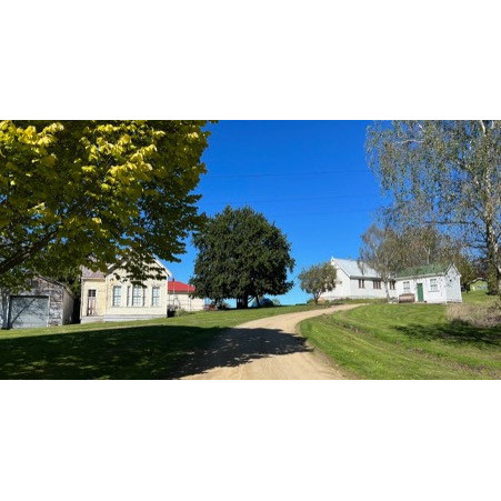 Taieri Historical Society