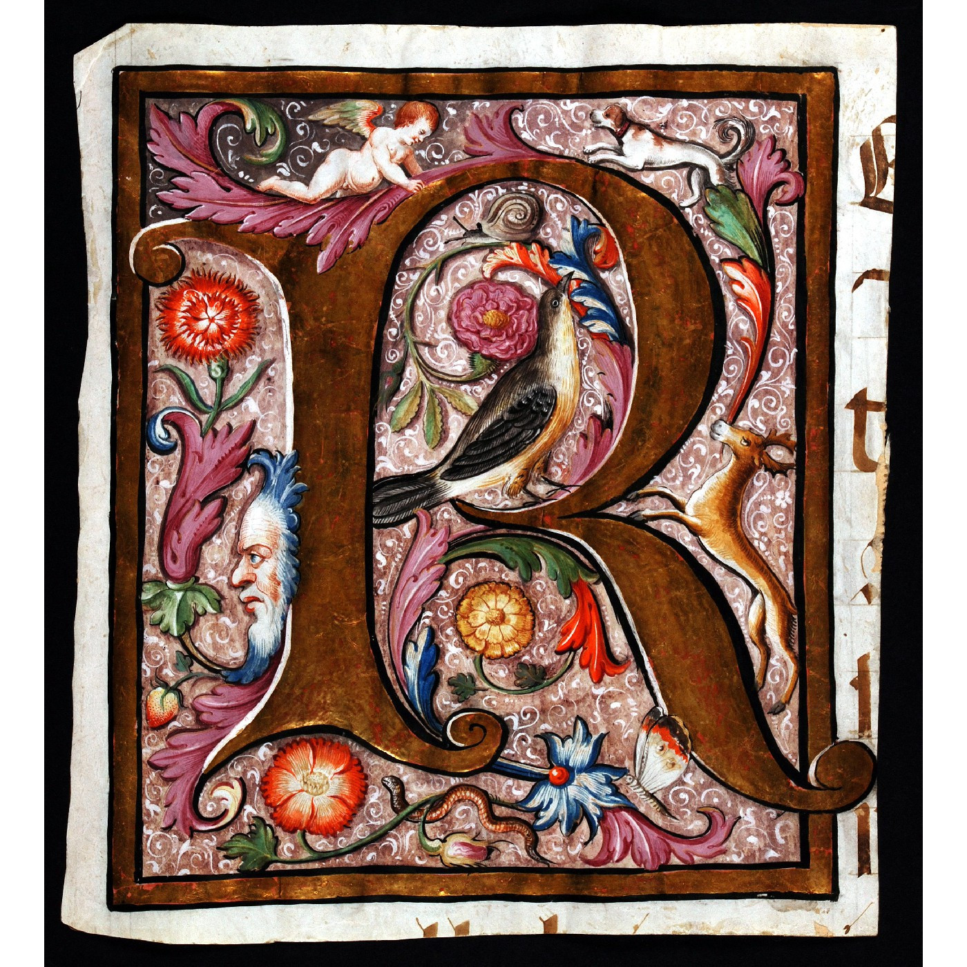 Sixteenth Century Individual Leaves & Fragments