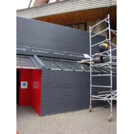 Painting of City Library exterior 2011